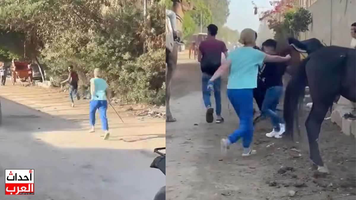 سائحة أجنبية تتدخل لحماية حمار من الضرب قرب أبو الهول.. والأمن يتحرك سائحة أجنبية تتدخل لحماية حمار من الضرب قرب أبو الهول.. والأمن يتحرك