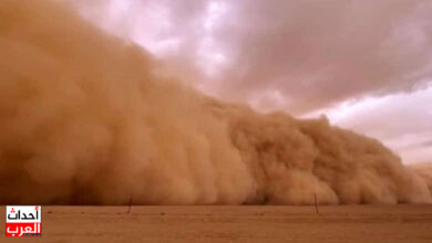 العاصفة شيماء