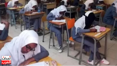 معرفة تفاصيل نتيجة الشهادة السودانية برقم الجلوس 2025 مجانا في هذا الموعد