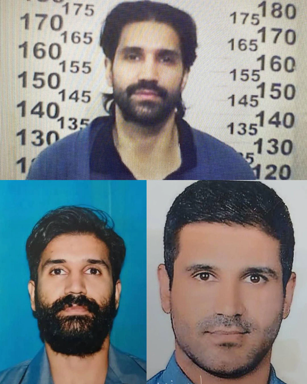 من هو اسماعيل فكري ويكيبيديا