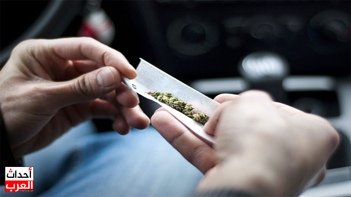 ماذا قالت الدكتورة سعاد صالح عن الحشيش ماذا قالت الدكتورة سعاد صالح عن الحشيش