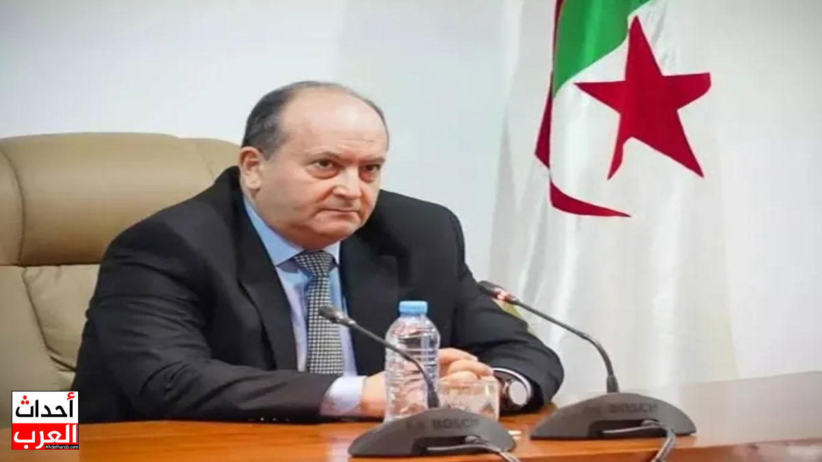 سيفي غريب ويكيبيديا: من هو، من أي ولاية، مكان الميلاد، مواليده وعمره، السيرة الذاتية سيفي غريب ويكيبيديا