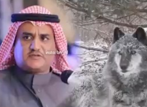 الشاعر سفر الدغيلبي