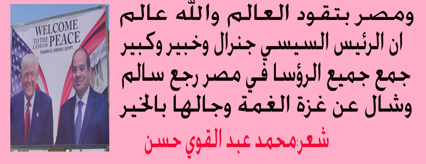 الرئيس السيسي يصعد بمصر للقمة ويبدأ صفحة جديدة ناصعة البياض