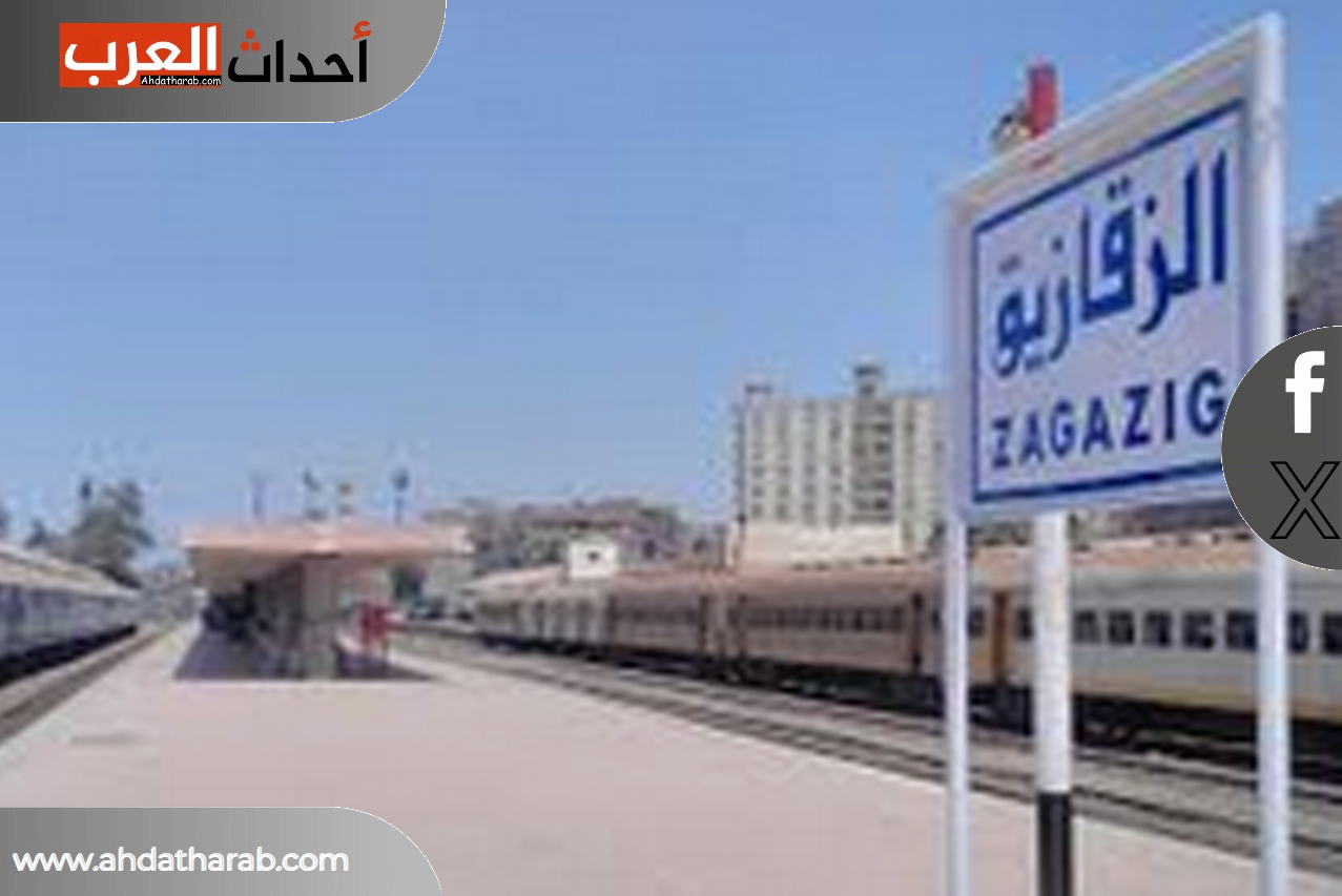 حبس زوج ماجدة اشرف عشر سنوات لنشره فيديو خاص بزوجته